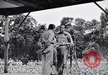 Immagine di Bob Hope Troupe di eseguire su USO tour nella seconda guerra mondiale Bougainville nelle Isole Salomone, 1944, secondo 6 filmato di repertorio 65675033576