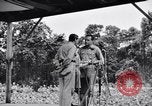 Immagine di Bob Hope Troupe di eseguire su USO tour nella seconda guerra mondiale Bougainville nelle Isole Salomone, 1944, secondo 9 filmato di repertorio 65675033576