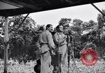 Immagine di Bob Hope Troupe di eseguire su USO tour nella seconda guerra mondiale Bougainville nelle Isole Salomone, 1944, secondo 23 filmato di repertorio 65675033576