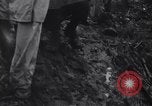 Image of General Douglas MacArthur Pacific Theater, 1945, second 26 stock footage video 65675033587
