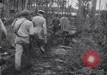 Image of General Douglas MacArthur Pacific Theater, 1945, second 29 stock footage video 65675033587