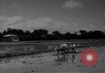 Standbild General Douglas MacArthur Korea, 1950, aus Sekunde 61 historischem Filmmaterial Videoclip 65675033588