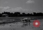 Standbild General Douglas MacArthur Korea, 1950, aus Sekunde 62 historischem Filmmaterial Videoclip 65675033588