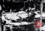 Standbild General Joseph Stilwell Birma, 1944, aus Sekunde 14 historischem Filmmaterial Videoclip 65675033599