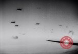 Image Allied bombardiers l'Europe, 1944, de la seconde 54 séquences d'archives historiques vidéo 65675033601