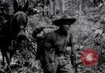 Standbild Chindits im Betrieb während Zweiten Weltkrieg Birma, 1944, aus Sekunde 21 historischem Filmmaterial Videoclip 65675033607