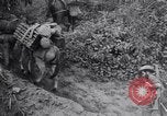 Standbild Chindits im Betrieb während Zweiten Weltkrieg Birma, 1944, aus Sekunde 27 historischem Filmmaterial Videoclip 65675033607