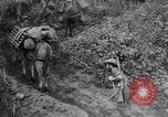 Standbild Chindits im Betrieb während Zweiten Weltkrieg Birma, 1944, aus Sekunde 28 historischem Filmmaterial Videoclip 65675033607