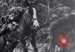 Standbild Chindits im Betrieb während Zweiten Weltkrieg Birma, 1944, aus Sekunde 33 historischem Filmmaterial Videoclip 65675033607