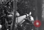 Standbild Chindits im Betrieb während Zweiten Weltkrieg Birma, 1944, aus Sekunde 40 historischem Filmmaterial Videoclip 65675033607