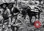 Standbild Nehmen Chindits Moagaung in Zweiten Weltkrieg Mogaung Birma, 1944, aus Sekunde 31 historischem Filmmaterial Videoclip 65675033609
