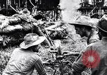 Standbild Nehmen Chindits Moagaung in Zweiten Weltkrieg Mogaung Birma, 1944, aus Sekunde 52 historischem Filmmaterial Videoclip 65675033609