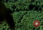 Image of air drops Burma, 1943, second 10 stock footage video 65675033622