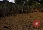 Standbild USA Soldaten Nha Trang Vietnam, 1968, aus Sekunde 60 historischem Filmmaterial Videoclip 65675033629