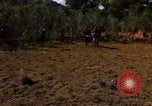 Standbild USA Soldaten Nha Trang Vietnam, 1968, aus Sekunde 61 historischem Filmmaterial Videoclip 65675033629