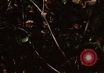 Image of United States soldiers Nha Trang Vietnam, 1968, second 25 stock footage video 65675033632