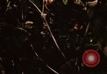 Image of United States soldiers Nha Trang Vietnam, 1968, second 26 stock footage video 65675033632