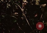 Image of United States soldiers Nha Trang Vietnam, 1968, second 28 stock footage video 65675033632