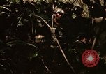 Image of United States soldiers Nha Trang Vietnam, 1968, second 30 stock footage video 65675033632