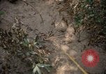Image of United States soldiers Nha Trang Vietnam, 1968, second 50 stock footage video 65675033632