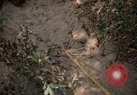 Image of United States soldiers Nha Trang Vietnam, 1968, second 51 stock footage video 65675033632