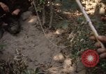 Image of United States soldiers Nha Trang Vietnam, 1968, second 54 stock footage video 65675033632