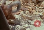 Image of Vietnamese men An Thoi Phu Quoc Vietnam, 1966, second 47 stock footage video 65675033634