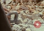 Image of Vietnamese men An Thoi Phu Quoc Vietnam, 1966, second 53 stock footage video 65675033634