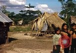 Image of Native village Nha Trang Vietnam, 1967, second 15 stock footage video 65675033653