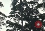 Image of  ROK troops Nha Trang Vietnam, 1967, second 53 stock footage video 65675033654
