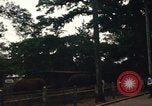 Image of  ROK troops Nha Trang Vietnam, 1967, second 56 stock footage video 65675033654