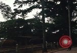 Image of  ROK troops Nha Trang Vietnam, 1967, second 58 stock footage video 65675033654
