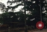 Image of  ROK troops Nha Trang Vietnam, 1967, second 62 stock footage video 65675033654