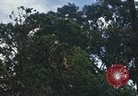 Image of Nha Trang Saigon Vietnam, 1967, second 4 stock footage video 65675033655