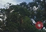 Image of Nha Trang Saigon Vietnam, 1967, second 6 stock footage video 65675033655