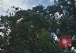 Image of Nha Trang Saigon Vietnam, 1967, second 7 stock footage video 65675033655