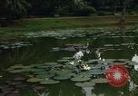 Image of Nha Trang Saigon Vietnam, 1967, second 19 stock footage video 65675033655