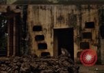 Image of Vietnamese zoo Saigon Vietnam, 1967, second 1 stock footage video 65675033656