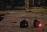 Image of Vietnamese zoo Saigon Vietnam, 1967, second 15 stock footage video 65675033656