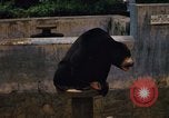 Image of Vietnamese zoo Saigon Vietnam, 1967, second 17 stock footage video 65675033656