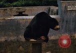 Image of Vietnamese zoo Saigon Vietnam, 1967, second 18 stock footage video 65675033656