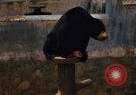 Image of Vietnamese zoo Saigon Vietnam, 1967, second 19 stock footage video 65675033656