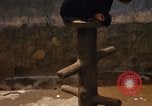 Image of Vietnamese zoo Saigon Vietnam, 1967, second 21 stock footage video 65675033656