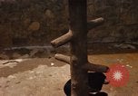 Image of Vietnamese zoo Saigon Vietnam, 1967, second 22 stock footage video 65675033656