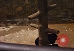 Image of Vietnamese zoo Saigon Vietnam, 1967, second 23 stock footage video 65675033656