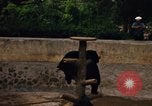 Image of Vietnamese zoo Saigon Vietnam, 1967, second 24 stock footage video 65675033656