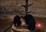 Image of Vietnamese zoo Saigon Vietnam, 1967, second 27 stock footage video 65675033656