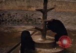 Image of Vietnamese zoo Saigon Vietnam, 1967, second 28 stock footage video 65675033656