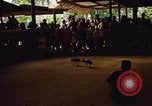 Standbild vietnamesische Kultur Nha Trang Vietnam, 1967, aus Sekunde 40 historischem Filmmaterial Videoclip 65675033658