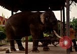 Standbild vietnamesischen Einheimischen Nha Trang Vietnam, 1967, aus Sekunde 38 historischem Filmmaterial Videoclip 65675033661